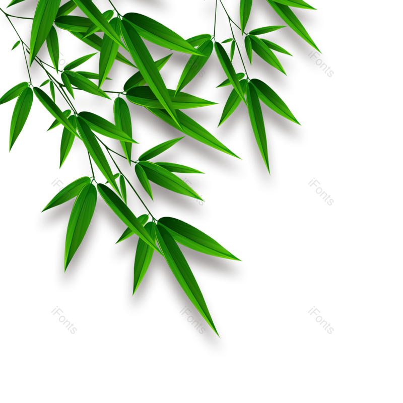 树叶图片,小元素元素,植物素材PNG,绿色免抠素材